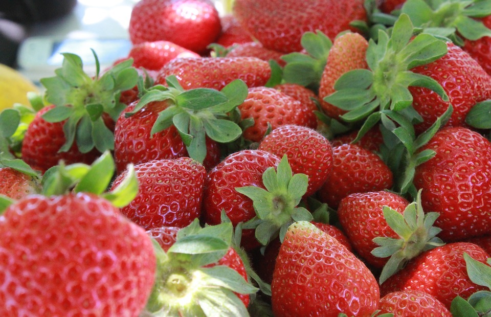 Can Cats Eat Strawberries? (Is It Safe?)