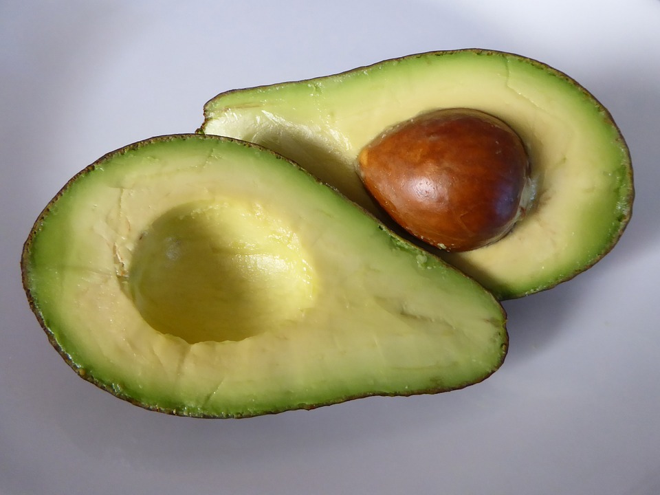 Can Cats Eat Avocado? (Is It Safe or Toxic?)