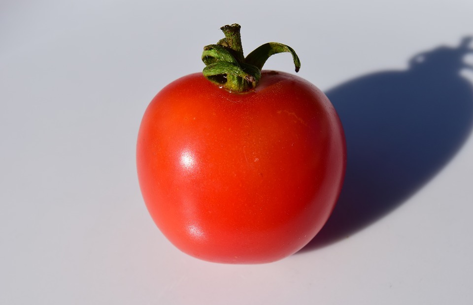 Can Cats Eat Tomatoes? (Are They Safe or Toxic?)