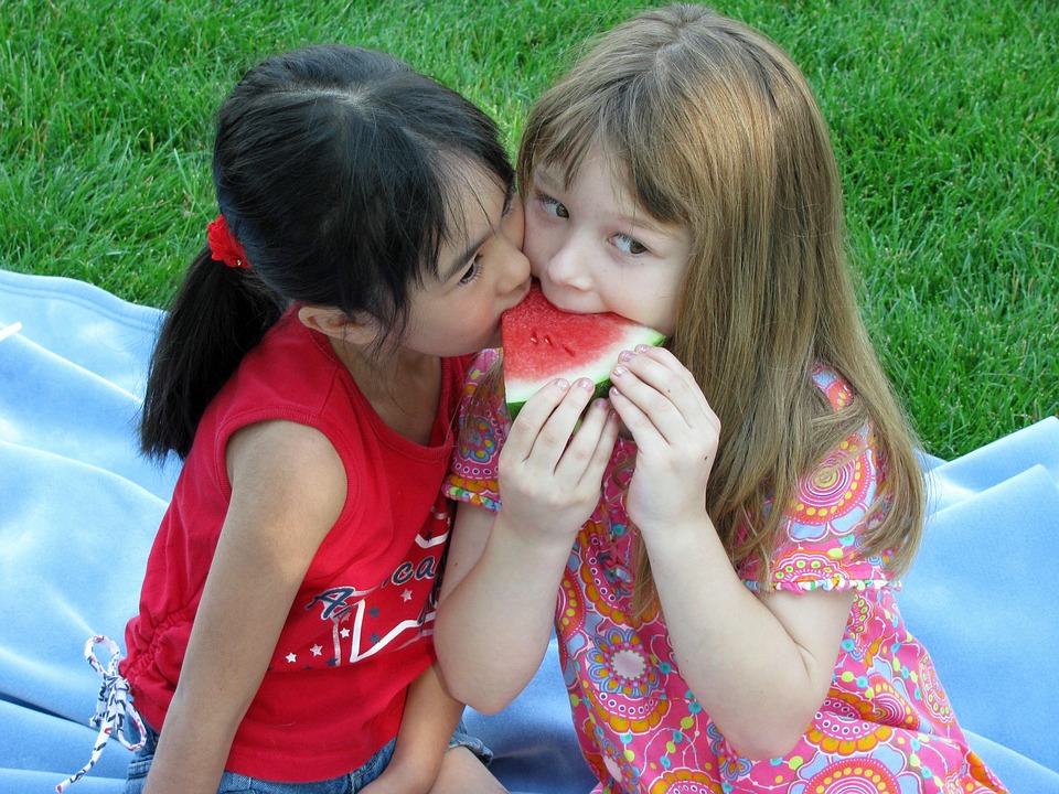 Can Cats Eat Watermelon? A Vet's Guide to Fruit Safety for Your Feline Friend