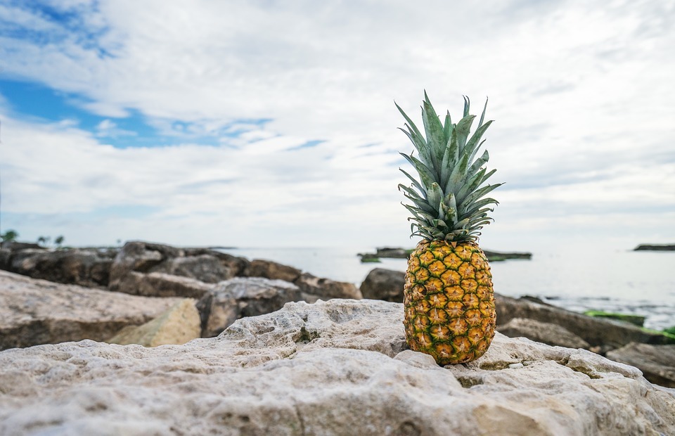 Can Cats Eat Pineapple? (Is It Safe or Toxic?)