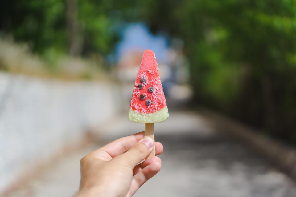 Can Cats Eat Watermelon? (Is It Safe for Your Feline Friend?)