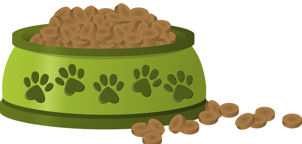 Can Cats Eat Peanuts? (Is It Safe for Your Feline Friend?)