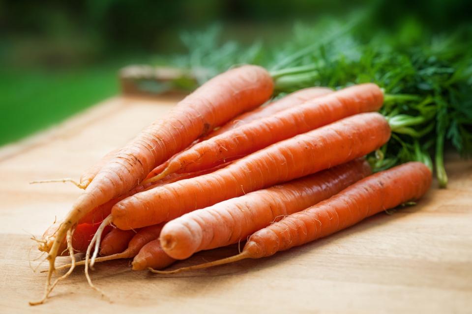 Are Carrots Good for Rabbits? (The Surprising Truth)