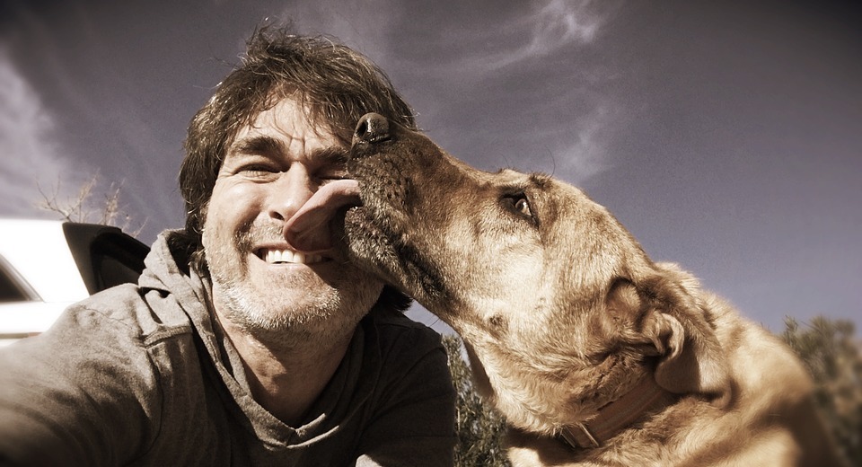 Why Do Dogs Lick You? Understanding Canine Affection