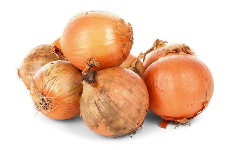 Are Onions Toxic to Dogs? What You Need to Know