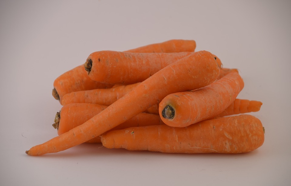 Do Rabbits Eat Carrots? The Truth About Carrot Consumption for Bunnies