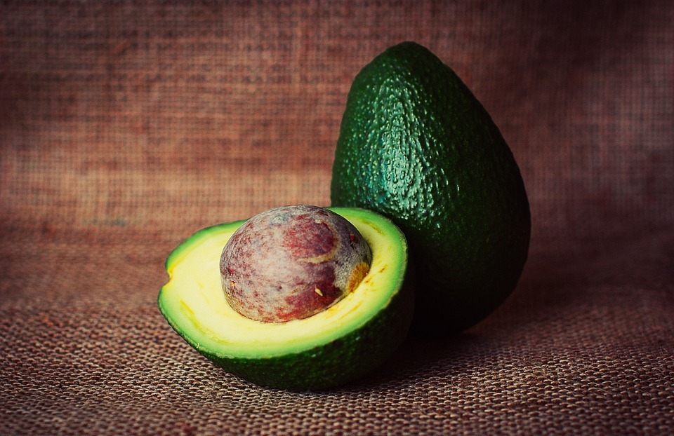 Can Dogs Eat Avocado? (Is It Safe or Toxic?)