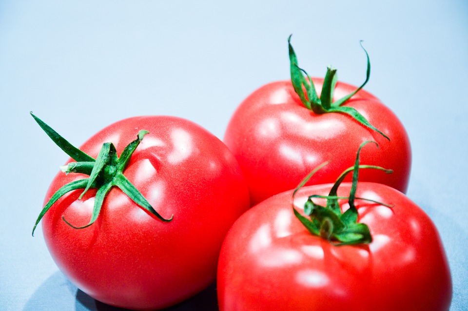 Are Tomatoes Safe for Dogs? What You Need to Know