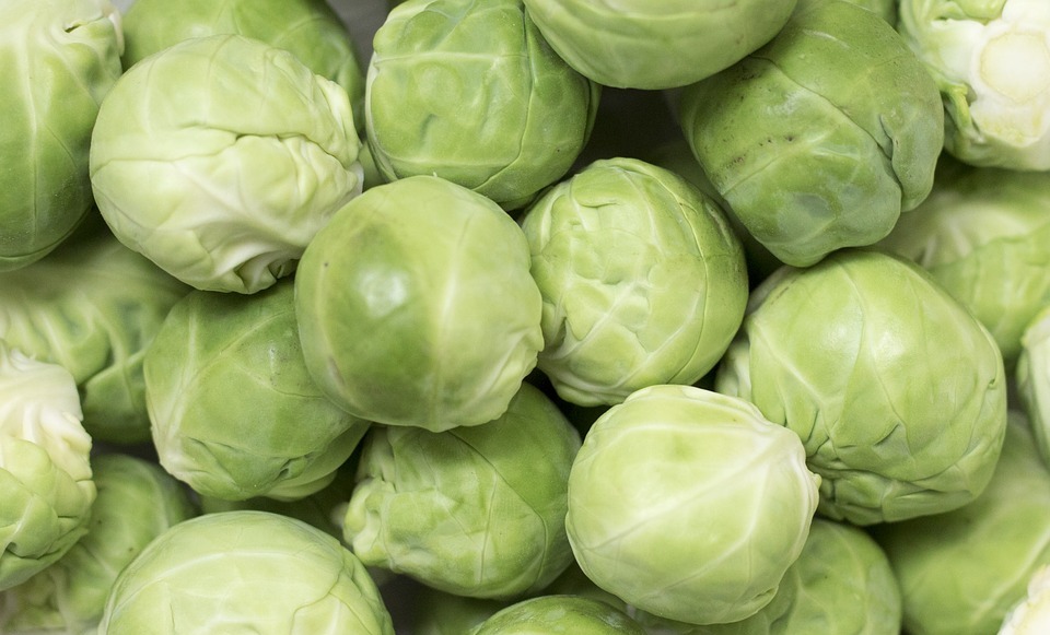 Can Dogs Eat Brussels Sprouts? (Safe or Toxic?)