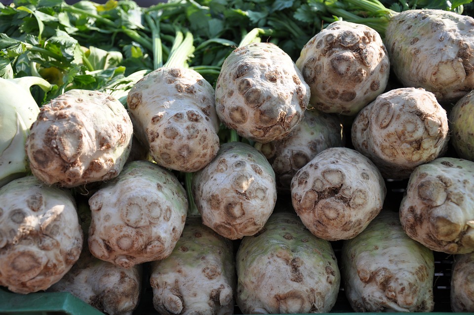 Can Rabbits Eat Celery? A Guide to Safe Rabbit Snacks