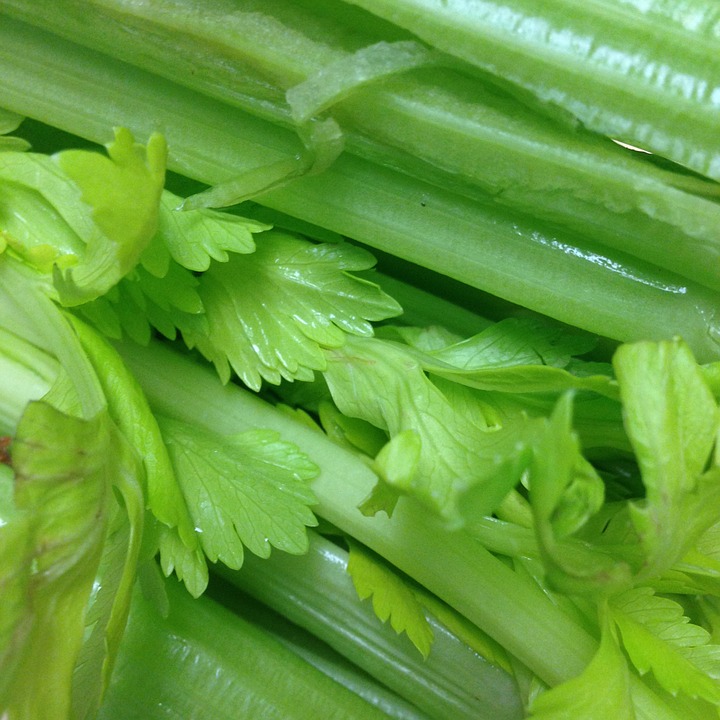 Can Rabbits Eat Celery? A Guide to Safe Rabbit Snacks