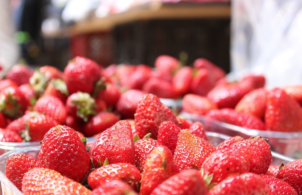 Can Dogs Eat Strawberries? The Truth About This Popular Fruit