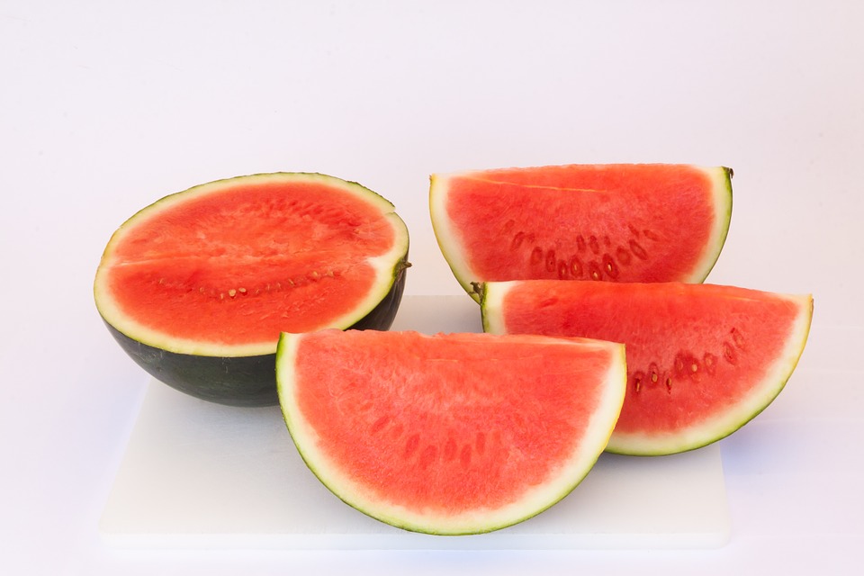 Can Dogs Eat Watermelon? A Safe and Healthy Treat?