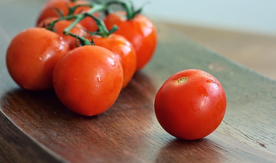 Can Dogs Eat Tomatoes? (The Truth About Tomato Toxicity)