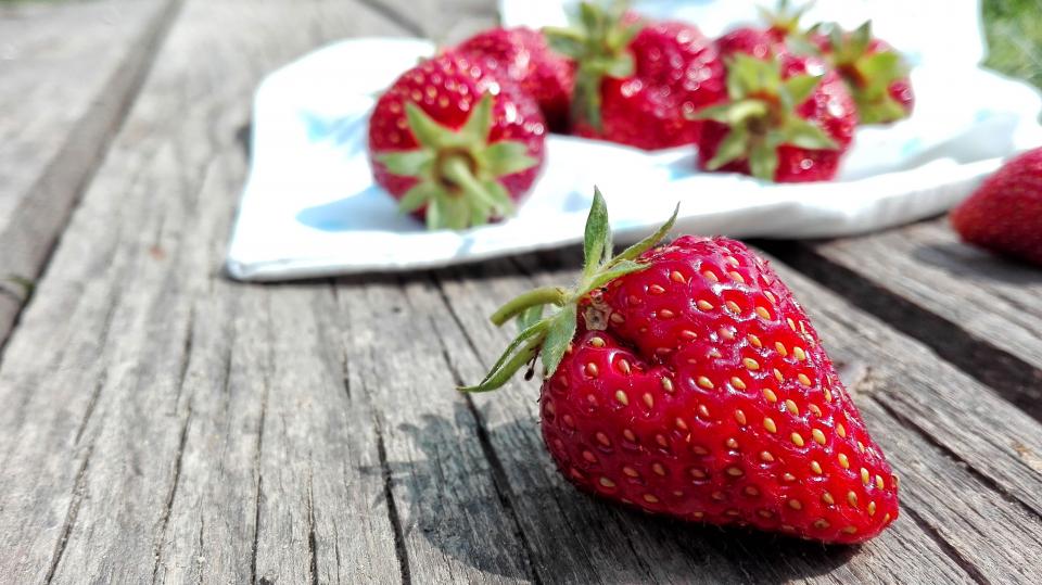 Can Dogs Eat Strawberries? The Truth About This Popular Fruit