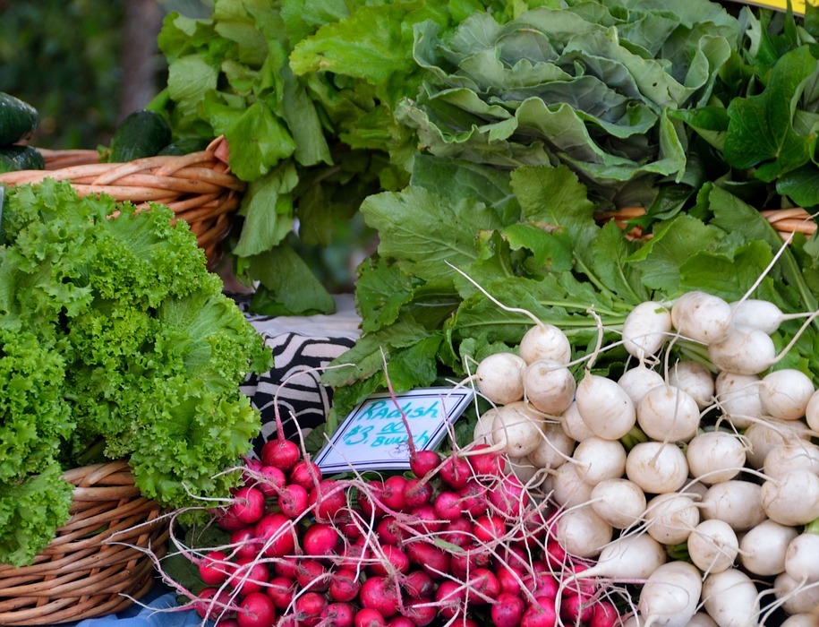 Can Rabbits Eat Radish Leaves? A Safe Treat or a Toxic Risk?