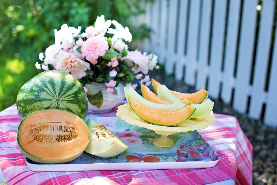 Can Rabbits Eat Cantaloupe? A Guide to Safe Fruits for Bunnies