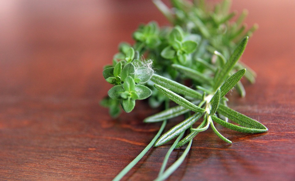 Can Rabbits Eat Parsley? (Is It Safe or Toxic?)