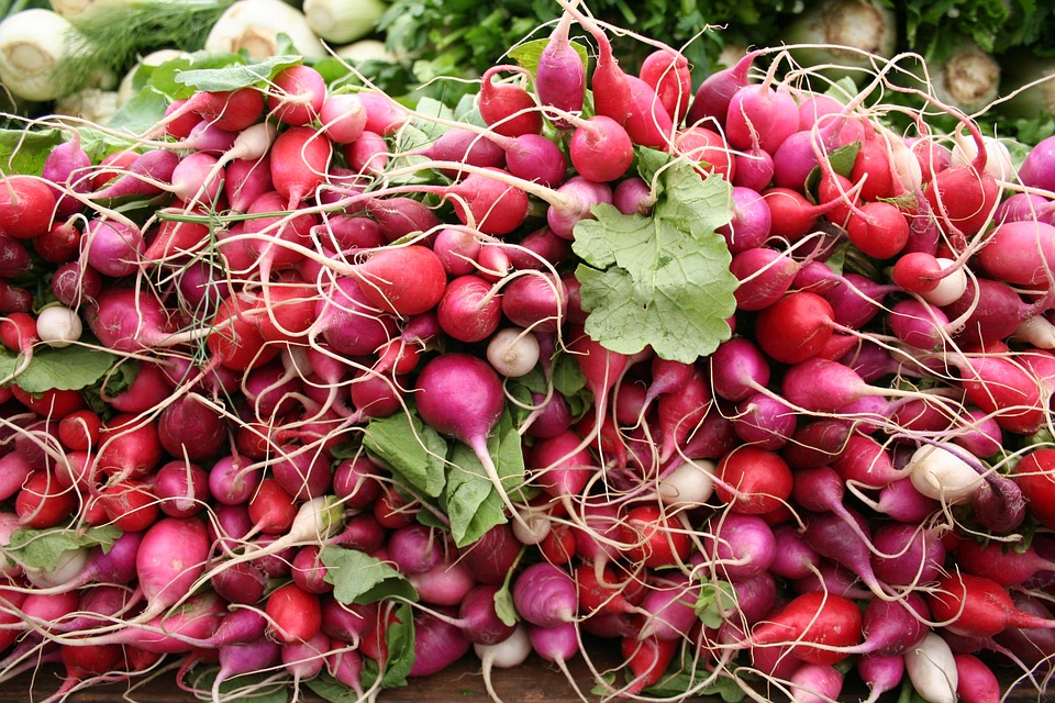 Can Rabbits Eat Radish Leaves? A Safe Treat or a Toxic Risk?