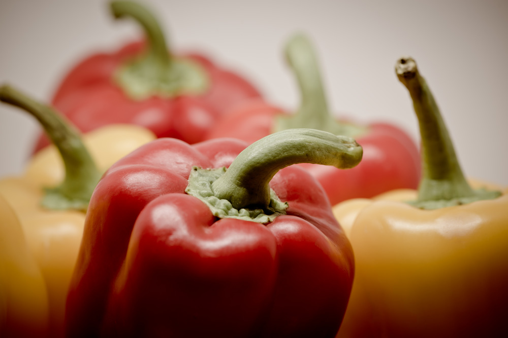 Can Dogs Eat Bell Peppers? A Vet-Approved Guide