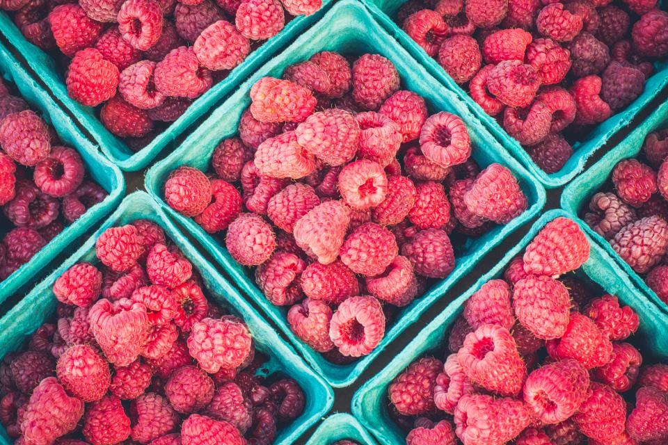 Can Rabbits Eat Raspberries? A Safe Treat or a Dangerous Snack?