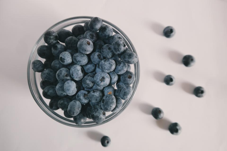 Can Dogs Eat Blueberries? A Guide to Safe Treats for Your Pup