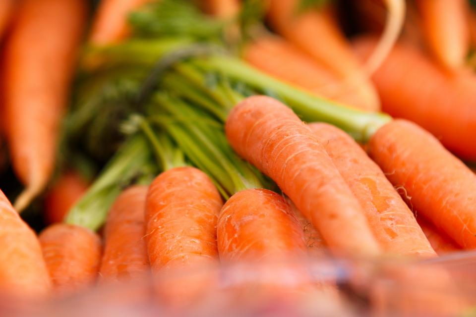 Are Carrots Good for Rabbits? (The Surprising Truth)