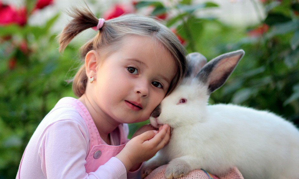 What Do Baby Rabbits Eat? A Guide to Feeding Your Bunny Kits