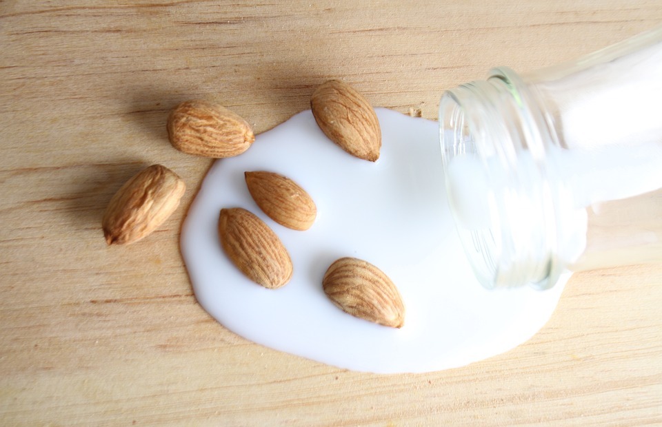 Can Dogs Eat Almonds? A Vet's Guide to Almond Safety for Dogs