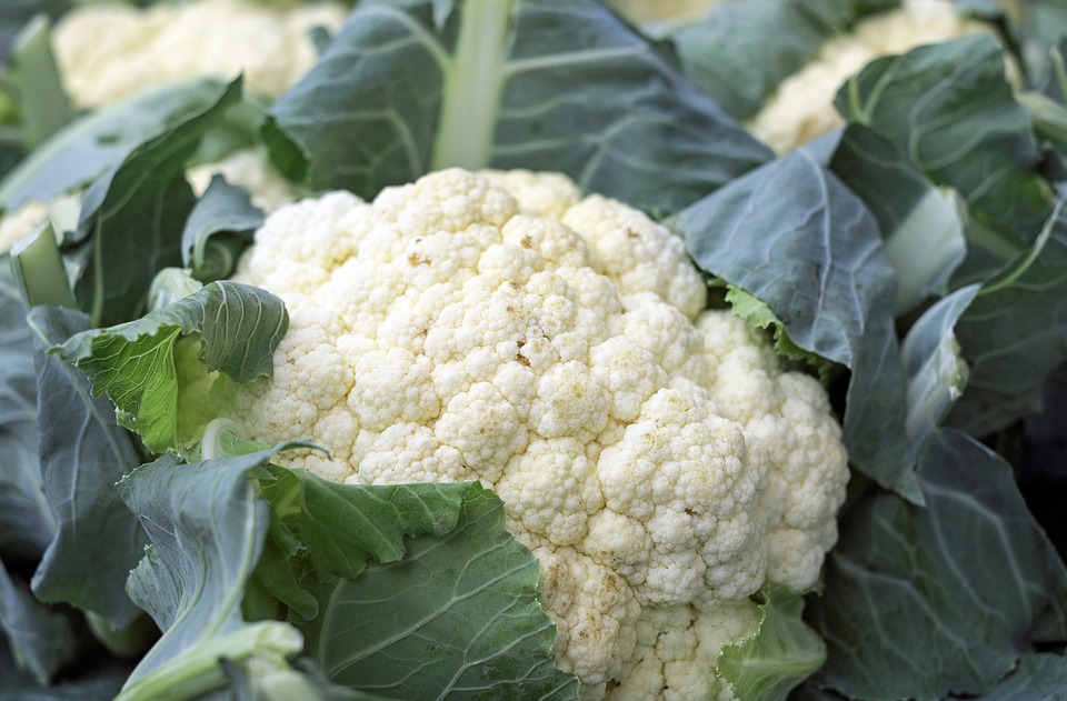 Can Dogs Eat Cauliflower? A Vet-Approved Guide