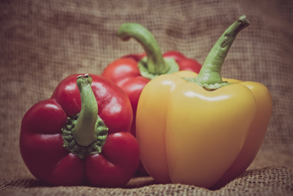 Can Dogs Eat Bell Peppers? A Vet-Approved Guide