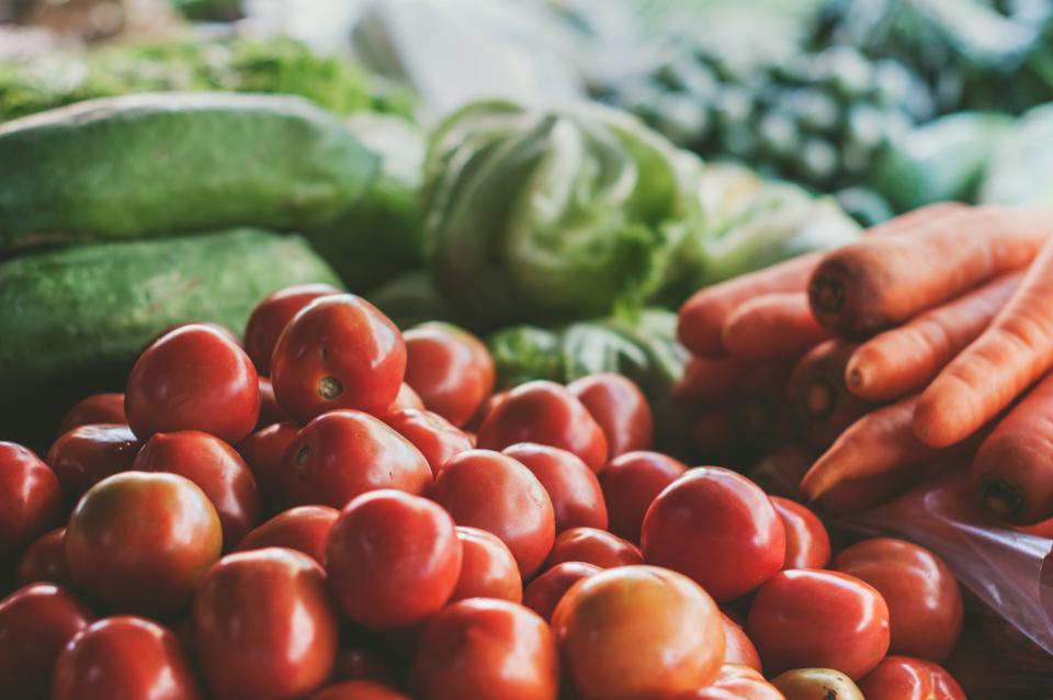 Can Rabbits Eat Lettuce? A Guide to Safe Greens