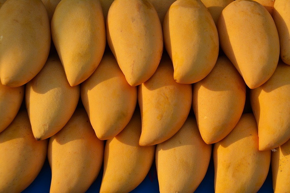 Can Dogs Eat Mango? A Guide to Mango Safety for Your Pup