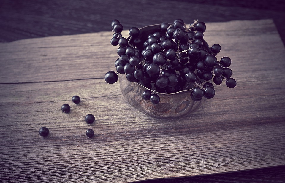 Can Dogs Eat Blueberries? A Guide to Blueberry Safety for Your Pup