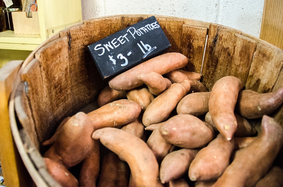 Can Rabbits Eat Sweet Potatoes? A Guide for Rabbit Owners