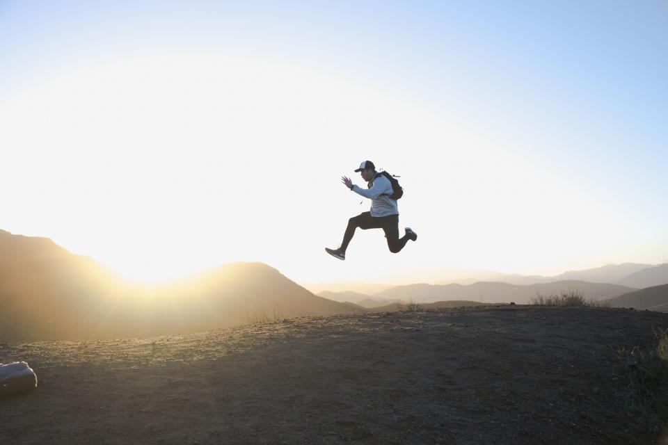 How High Can Rabbits Jump: A Surprising Answer