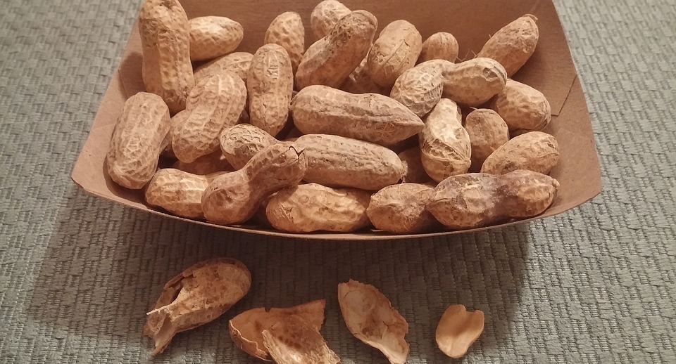 Can Dogs Eat Peanuts? (Is It Safe or Dangerous?)