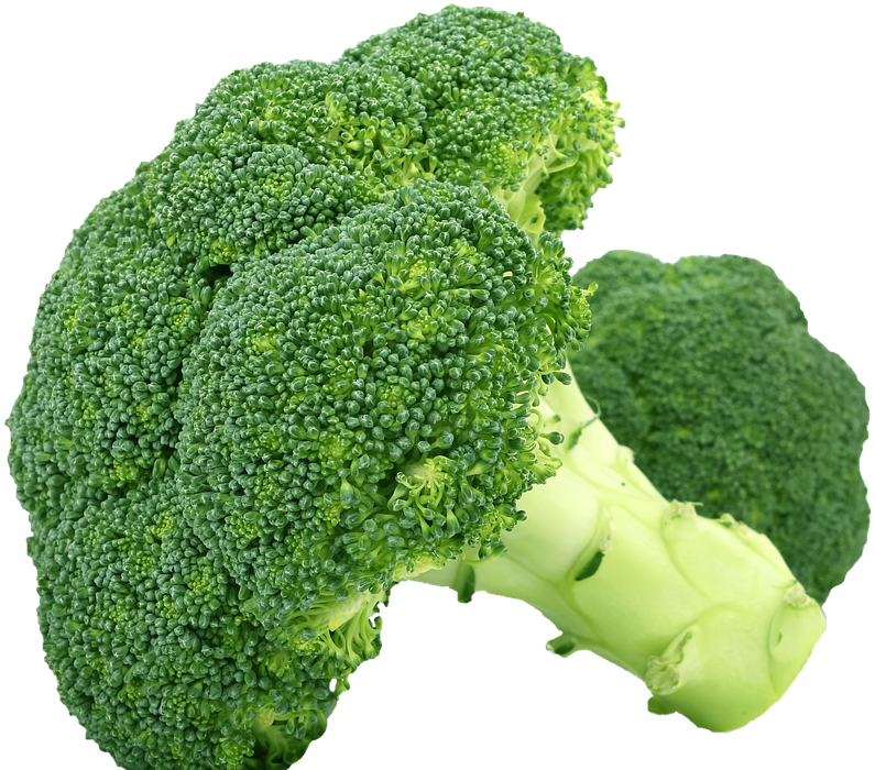 Can Dogs Eat Broccoli? A Vet-Approved Guide