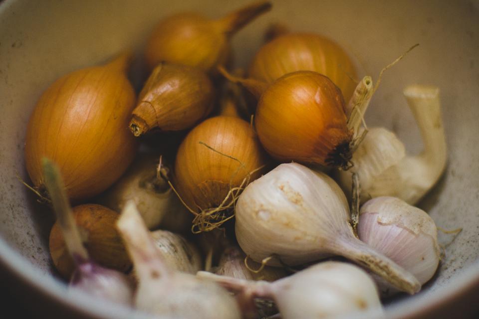 Is Garlic Harmful to Dogs? A Vet's Guide to Safety