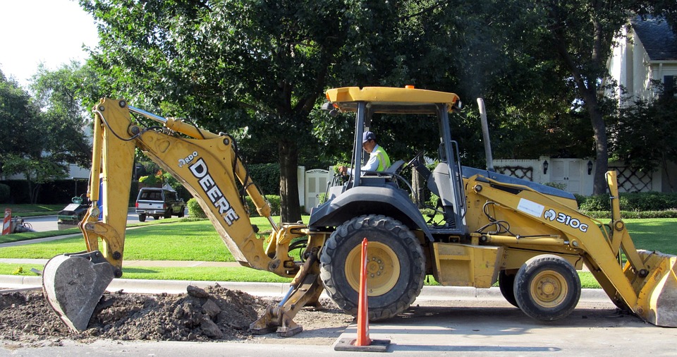 Do Rabbits Dig Holes? Understanding Their Burrowing Behavior