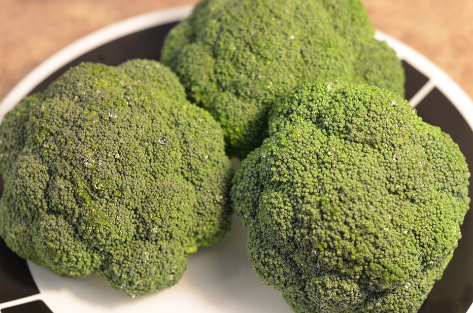 Can Dogs Eat Broccoli? A Vet-Approved Guide