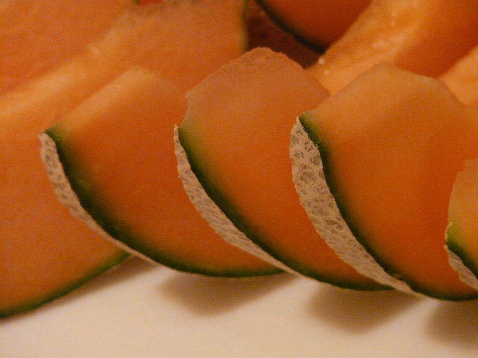 Can Dogs Eat Cantaloupe? A Safe Treat or Toxic Snack?