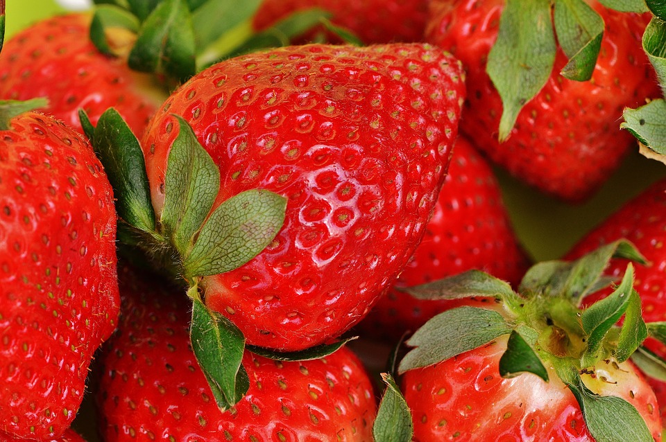 Can Dogs Eat Strawberries? A Guide for Pet Owners