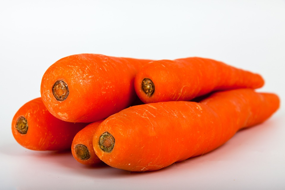 Do Rabbits Really Like Carrots? The Truth About Their Diet