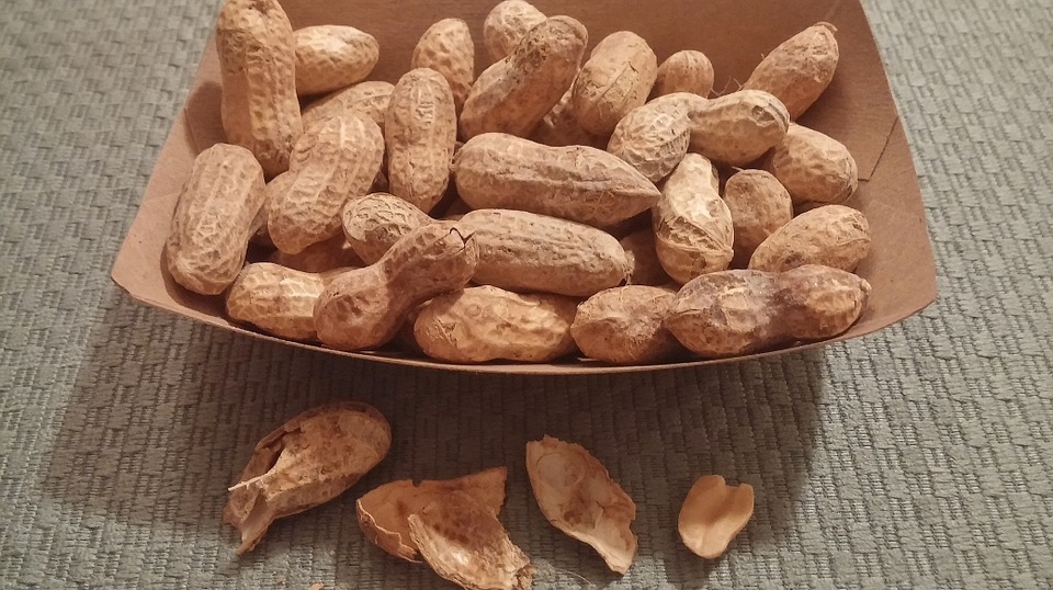 Can Dogs Eat Peanuts? (Is It Safe or Dangerous?)