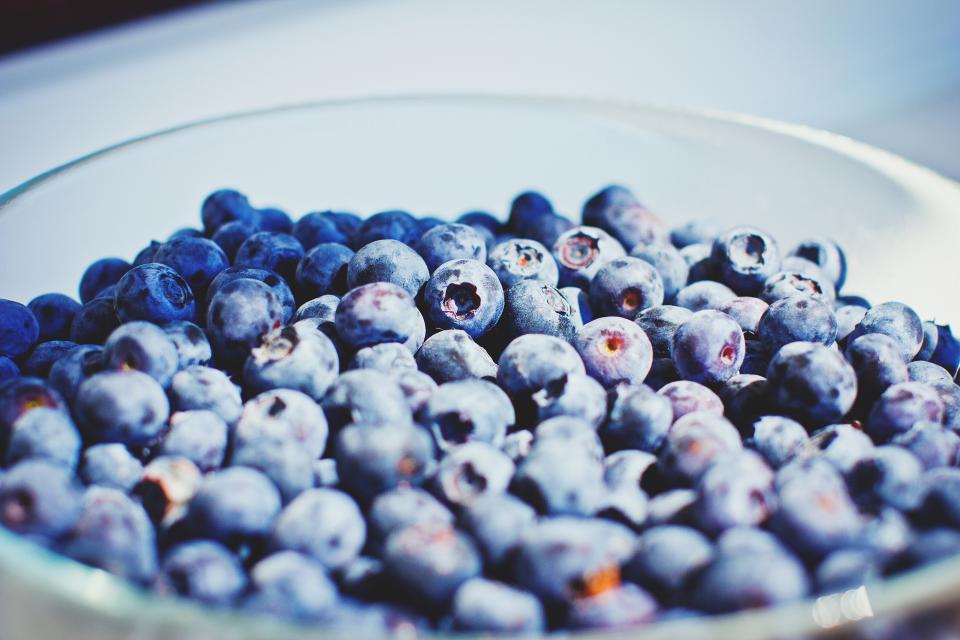 Can Rabbits Eat Blueberries? A Guide for Rabbit Owners