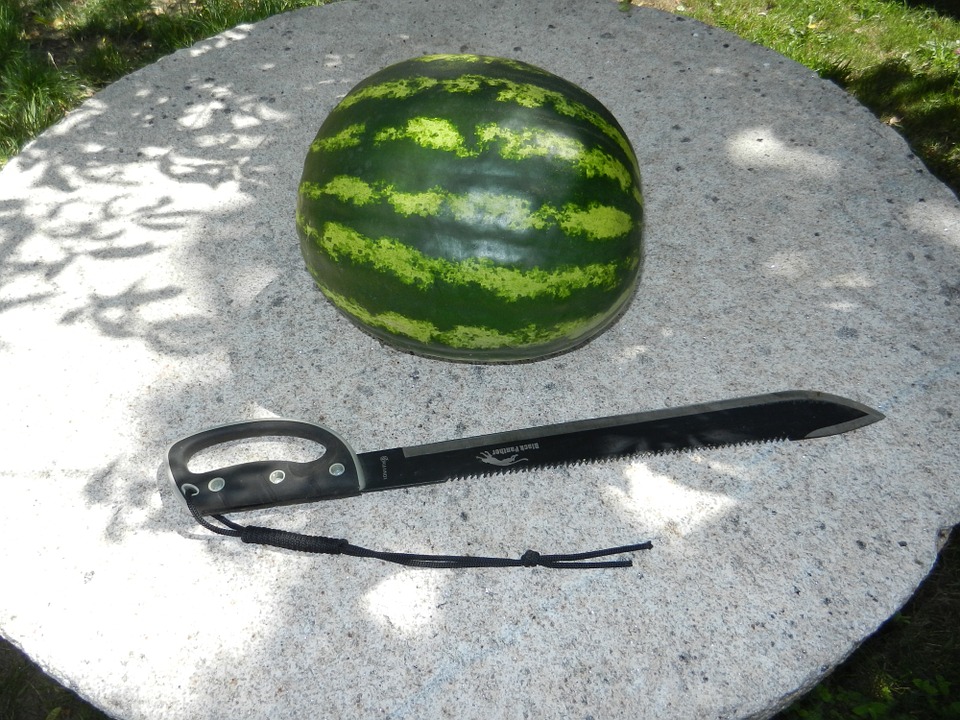 Can Rabbits Eat Watermelon? A Guide to Safe Fruits for Your Bunny