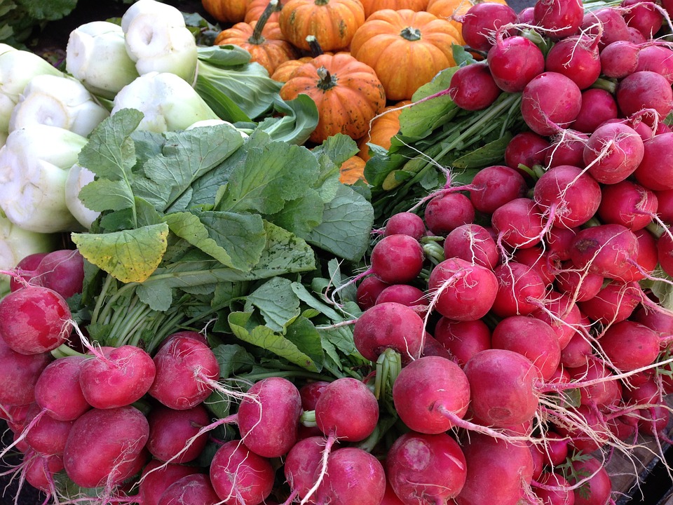 Can Rabbits Eat Radishes? A Safe Treat or Toxic Danger?