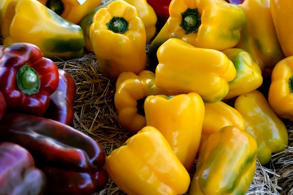 Can Rabbits Eat Bell Peppers? A Safe Treat or Toxic Food?